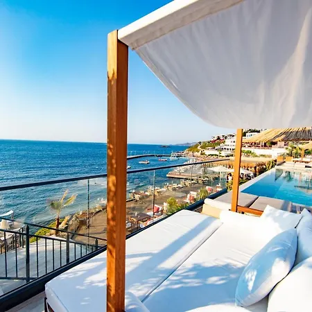 Nixie & - Adult Only 얄리카베크